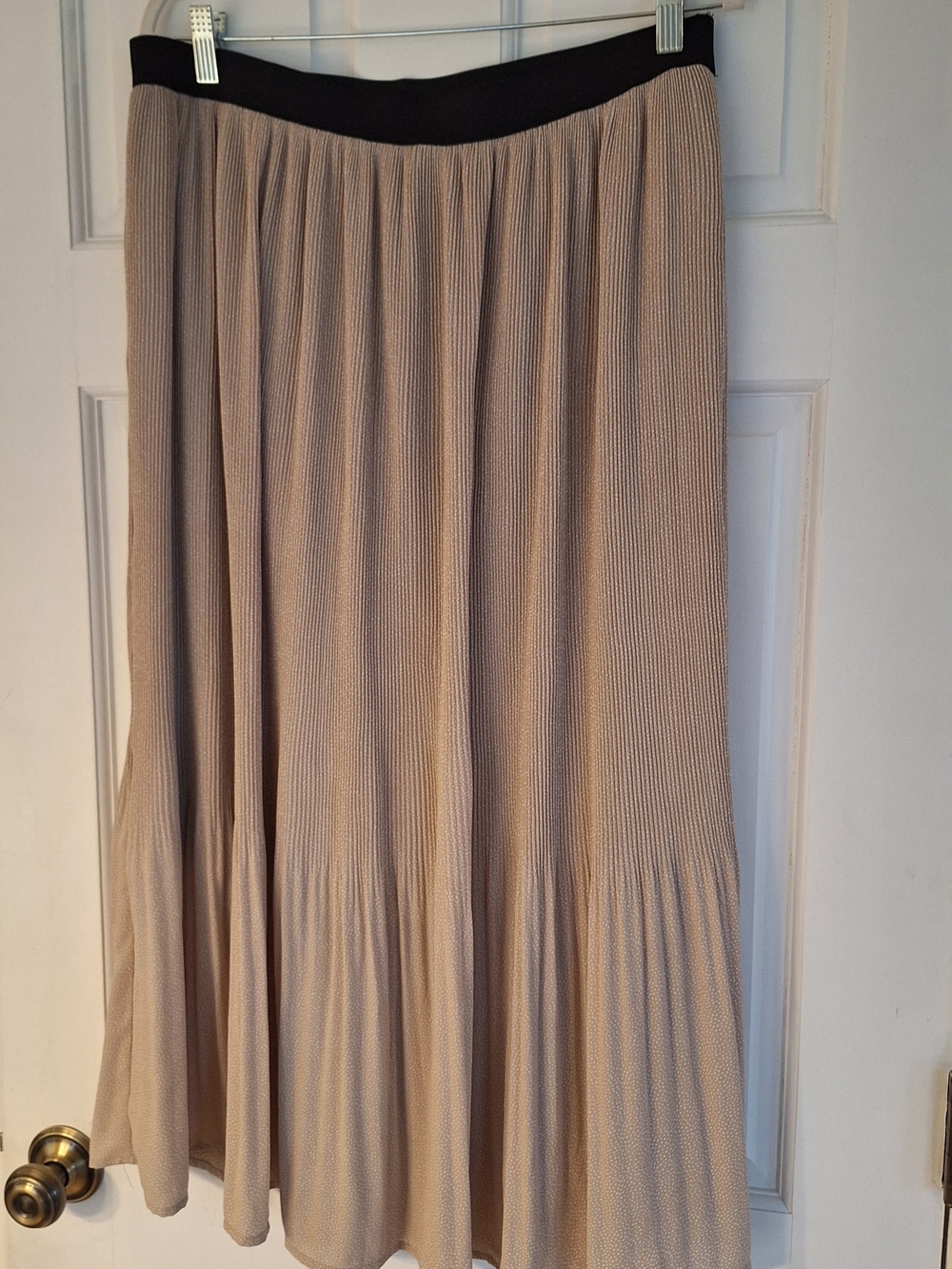 Adriana Papell Knife Pleated Maxi Skirt